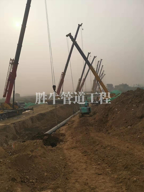 蜜桃网站入口在线进入