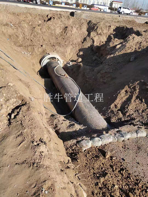 蜜桃成视频人APP下载